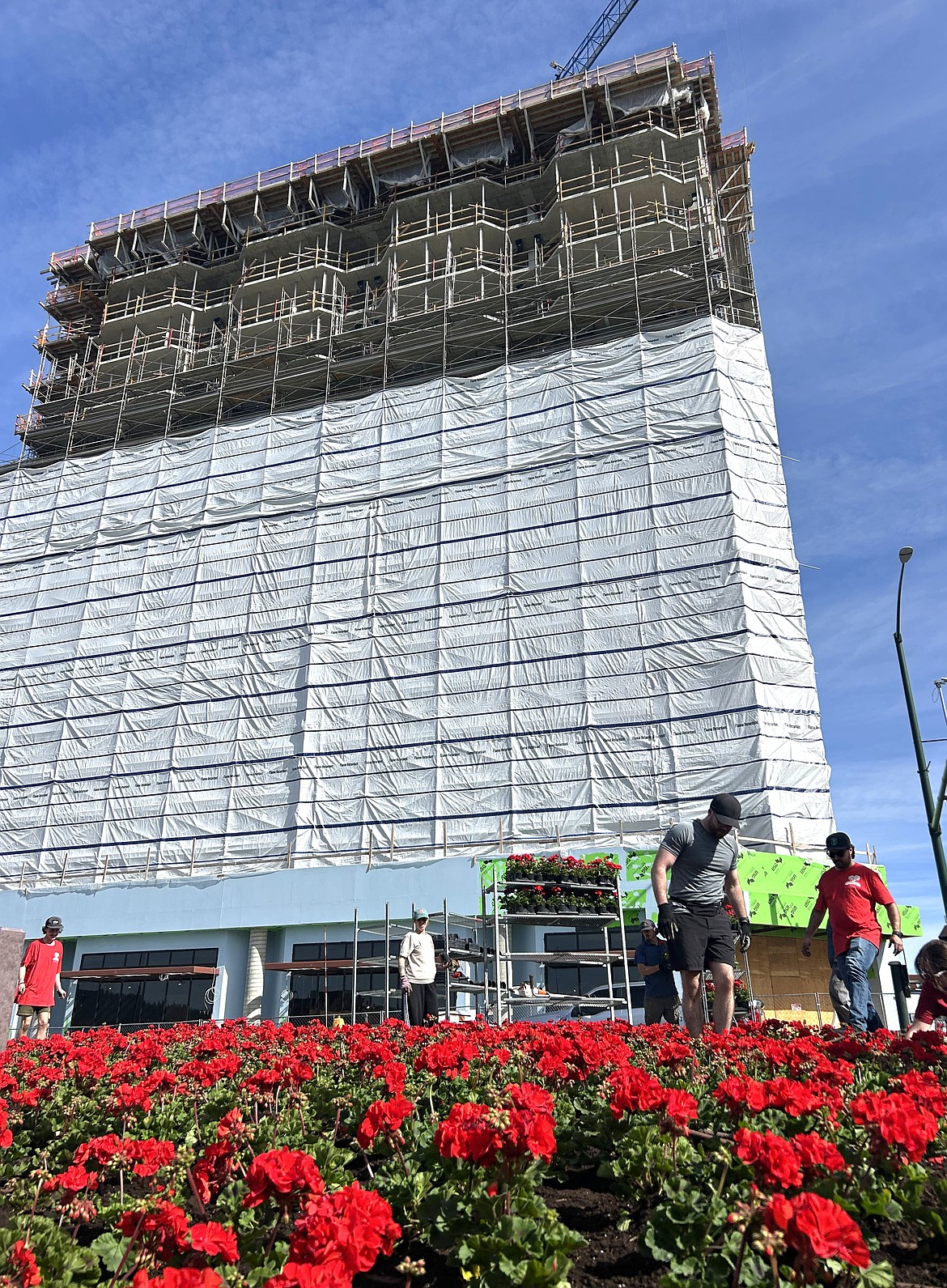 Resort staffers plant geraniums across the street from Sherman Tower that is under construction.