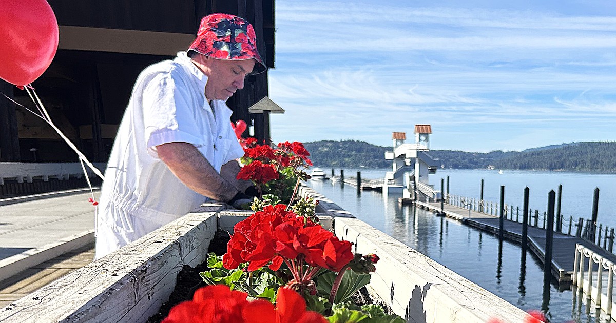 Thousands of geraniums planted outside Resort, other Hagadone properties