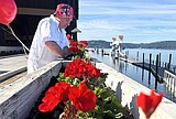 Thousands of geraniums planted outside Resort, other Hagadone properties