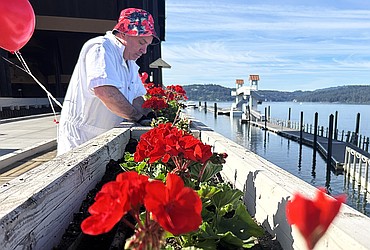 John Malee, The Coeur d'Alene Resort director of banquets, plants geraniums outside Hagadone Corp. headquarters on Tuesday morning.