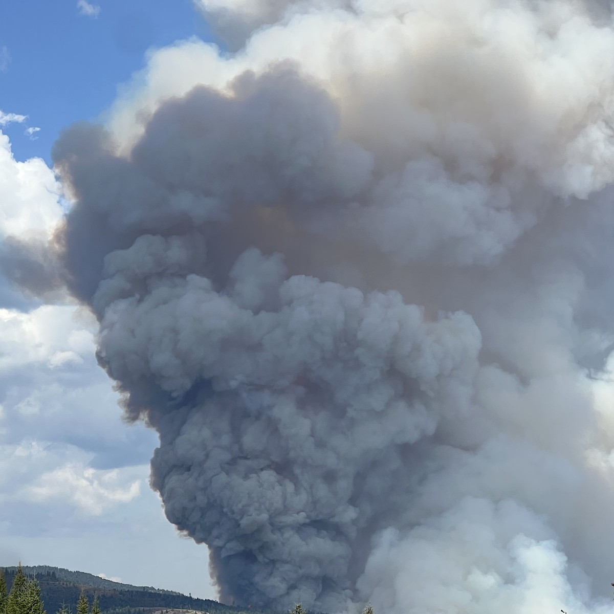 Fire danger moderate in Bonner, Boundary counties