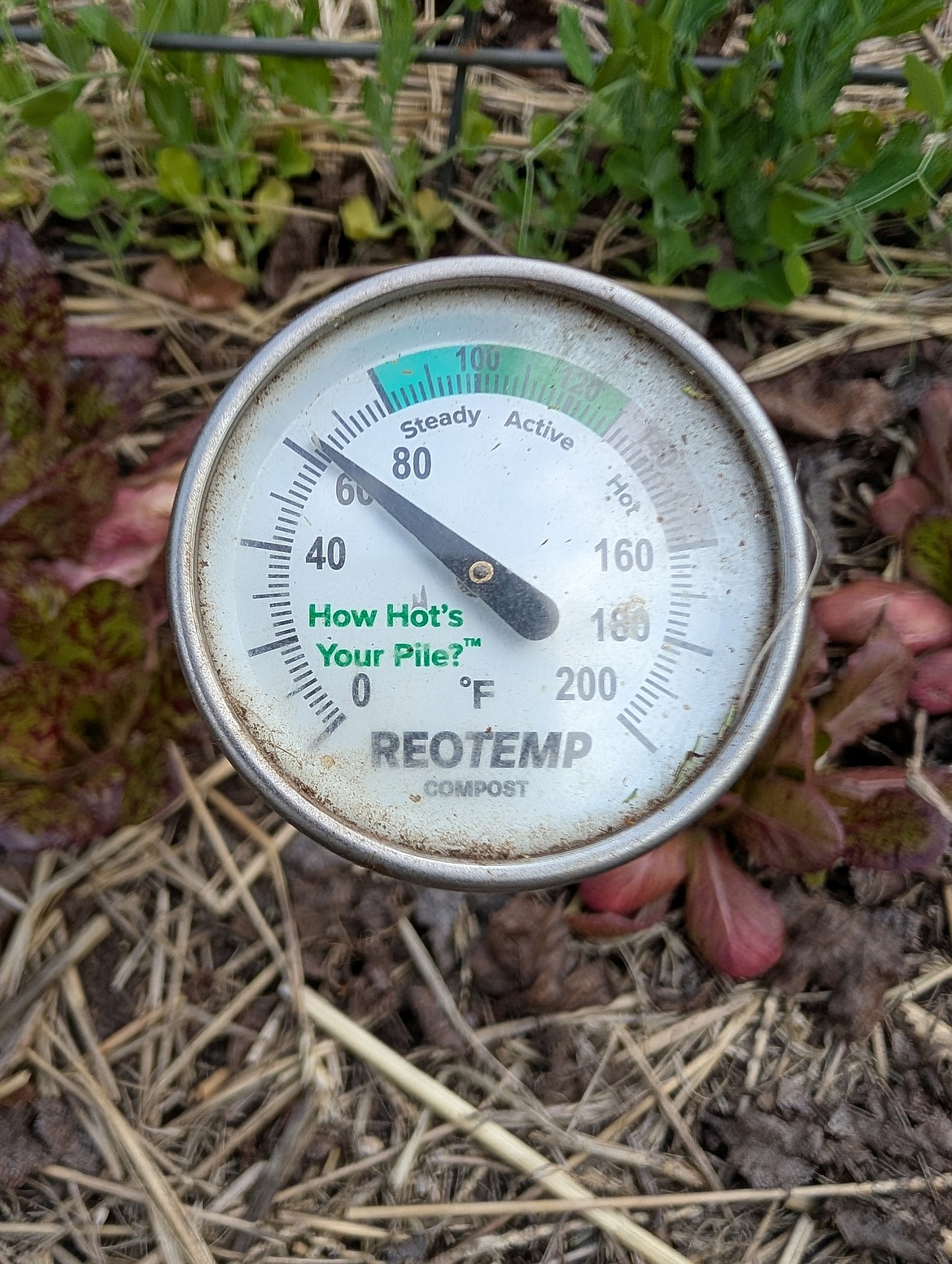 An inexpensive soil or compost thermometer is essential for determining soil warmth and the best time to plant warm-season crops.