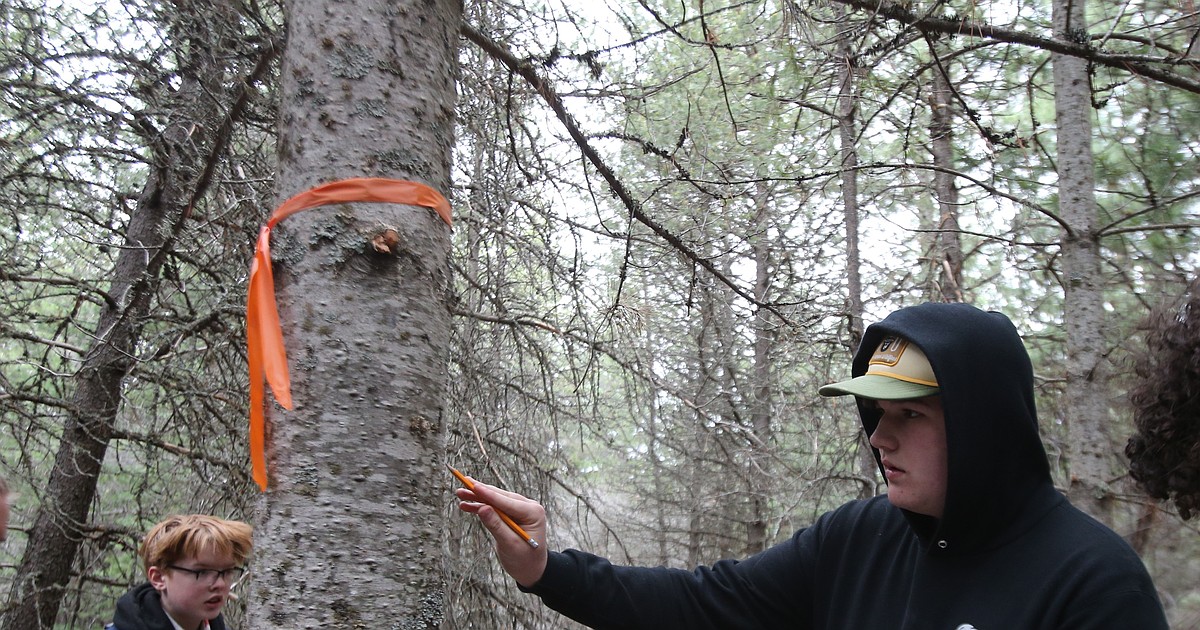 Students compete in 43rd annual Idaho State Forestry Contest