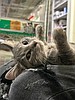 Purr-fect little message