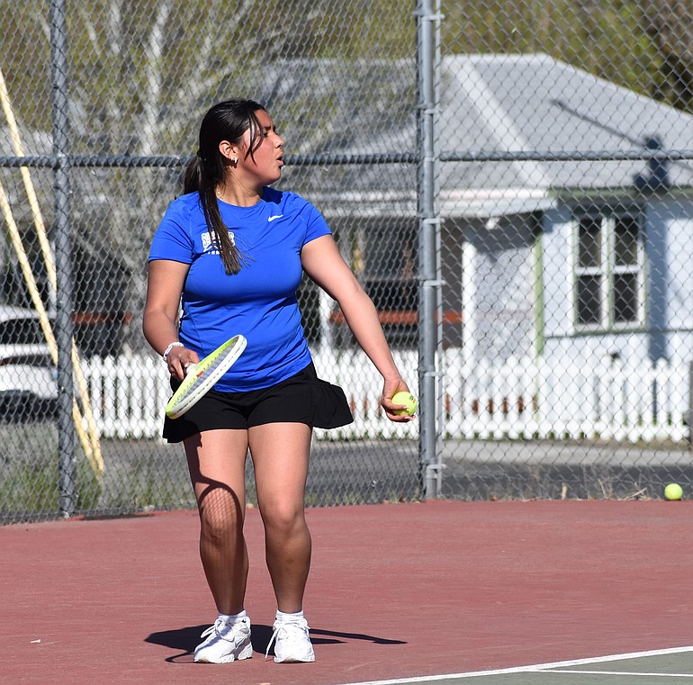 GALLERY: Spring sports highlights