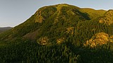 Land transfer may benefit grizzlies