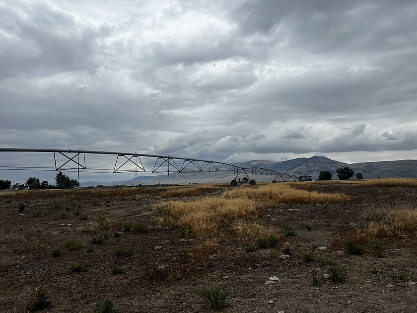 Kevin Hein, a farmer in Hot Springs, took a photo of a neighboring hayfield in August 2025 after a dry irrigation season. (Courtesy)