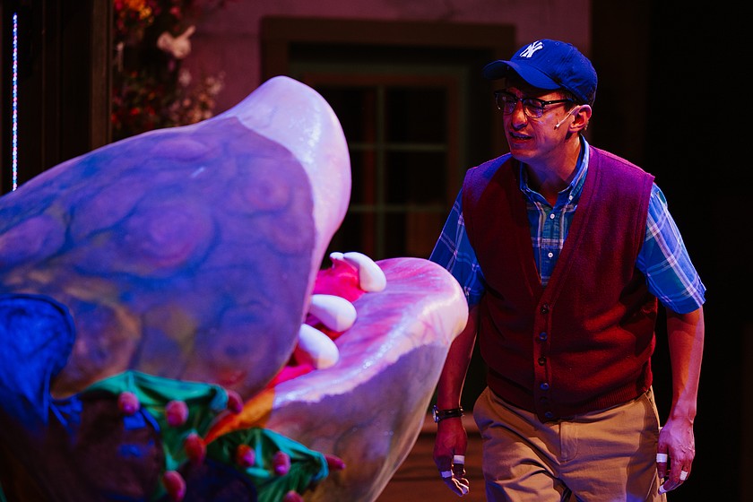 Mikey Winn, who plays Seymour, rehearses with the Audrey II puppet in Whitefish Theatre Company's upcoming production of "Little Shop of Horrors" ahead opening night on May 22, 2026. Whitefish Theatre Company's production of "Little Shop of Horrors" ahead of opening night on May 22, 2026. (Courtesy of Matthew Wetzler)