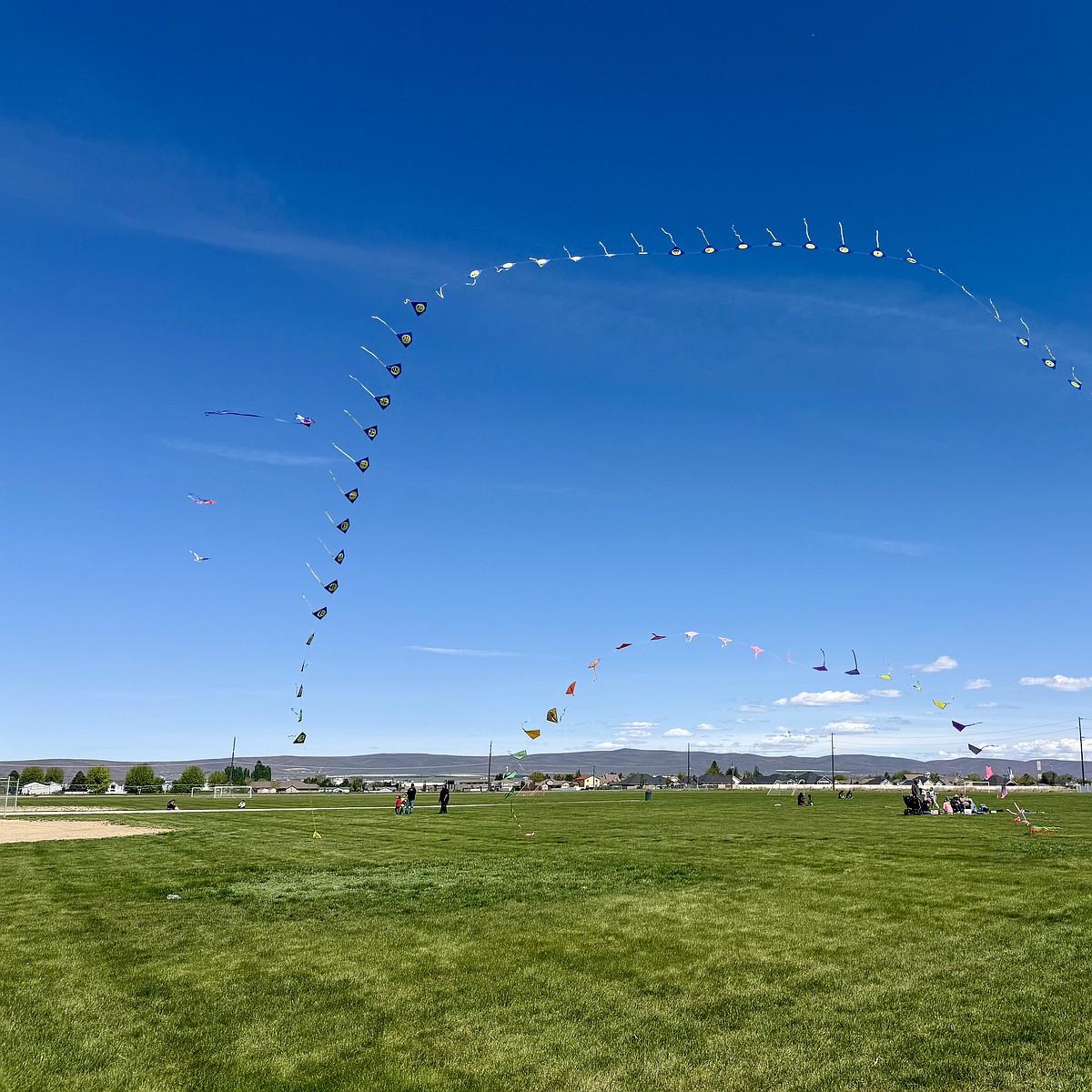 Qplex Activities QPlex design going through revisions | Columbia Basin Herald