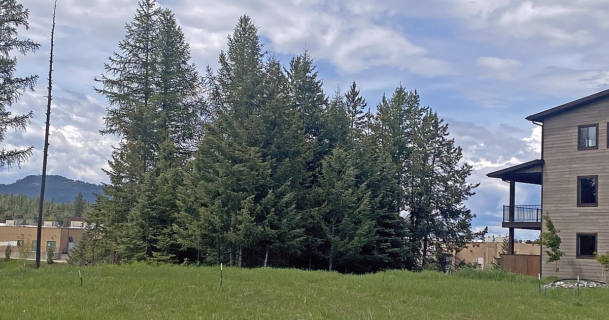 Habitat Flathead moves forward with townhomes on Whitefish Avenue