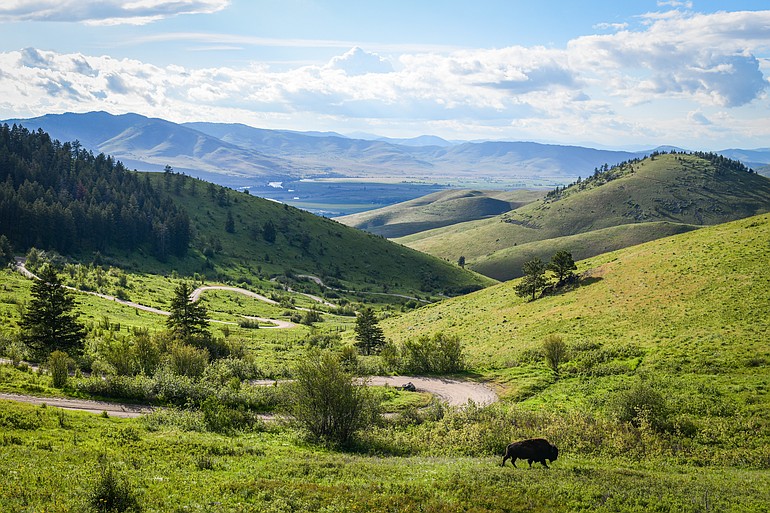 PHOTOS: A trip through the Bison Range
