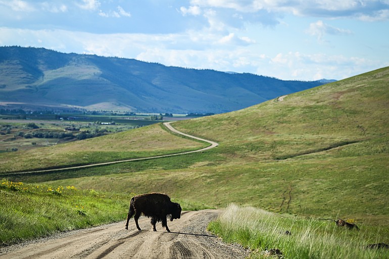 PHOTOS: A trip through the Bison Range