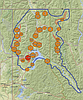 Storm causing downed trees, fires, outages