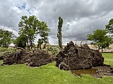 Connelly Park closed indefinitely after storm caused extensive damage