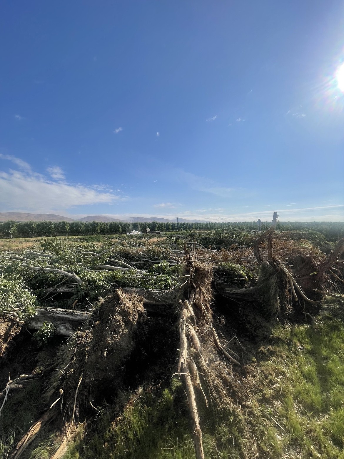 Storm damage extended throughout the Columbia Basin.