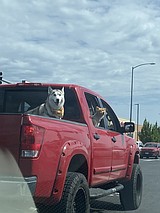 ON THE ROAD AGAIN