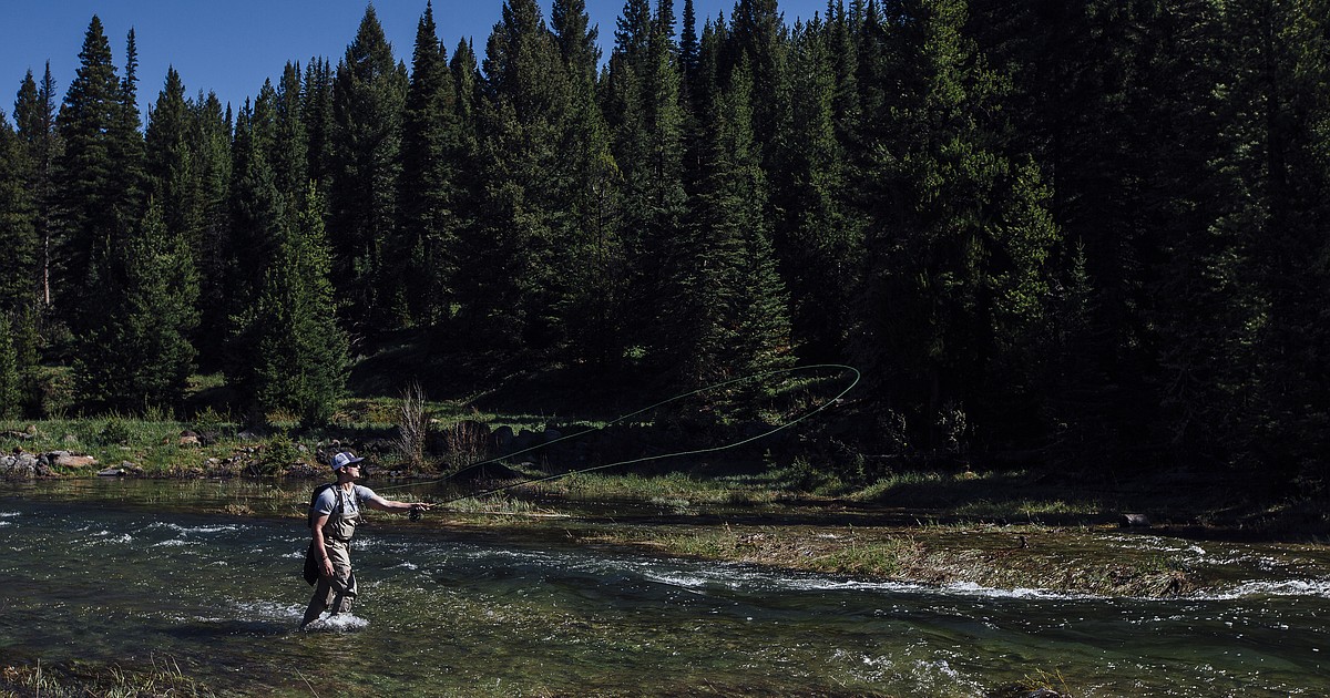 Montana State research powers new drought forecasts for Montana’s blue-ribbon trout rivers