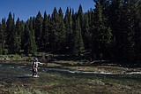 Montana State research powers new drought forecasts for Montana’s blue-ribbon trout rivers
