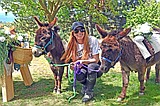 Bartending burros trot into Whitefish events