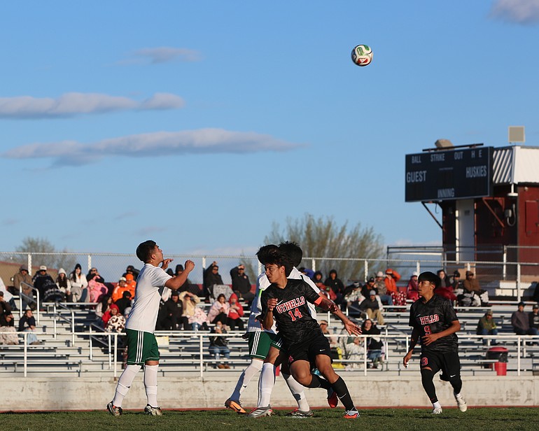 GALLERY: Basin spring sports highlights