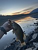 Idaho free fishing day 2026