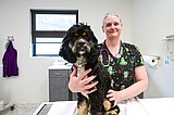 All Creatures Veterinary Clinic serves animals big or small, furry or scaly