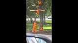 A burning cross in a Chicago park shocks residents and has police searching for who did it
