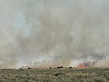 Large wildland fire near State Highway 17 and 282