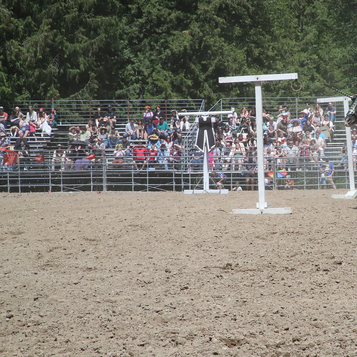 Sandpoint renaissance faire draws record crowd fit for a queen