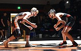 Tigers host youth wrestling camp