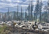 Gold Run Fire grows