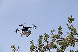 Integrated pest management harnesses basic bug biology, new tech