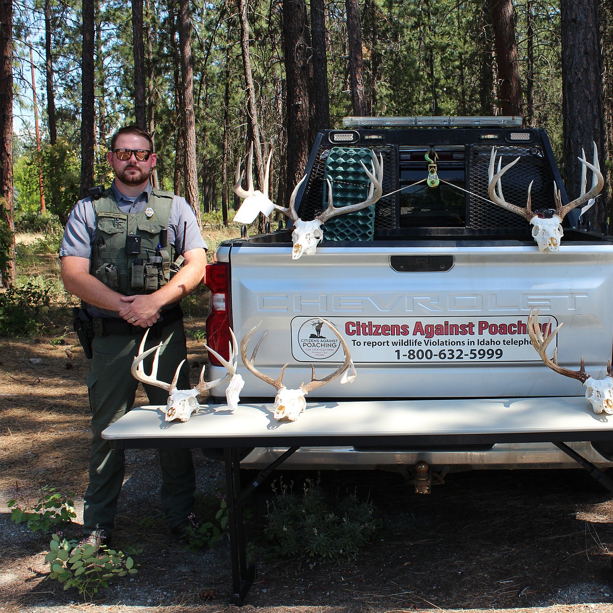 Three sentenced for deer ‘poaching spree’
