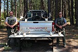 Three sentenced for deer ‘poaching spree’