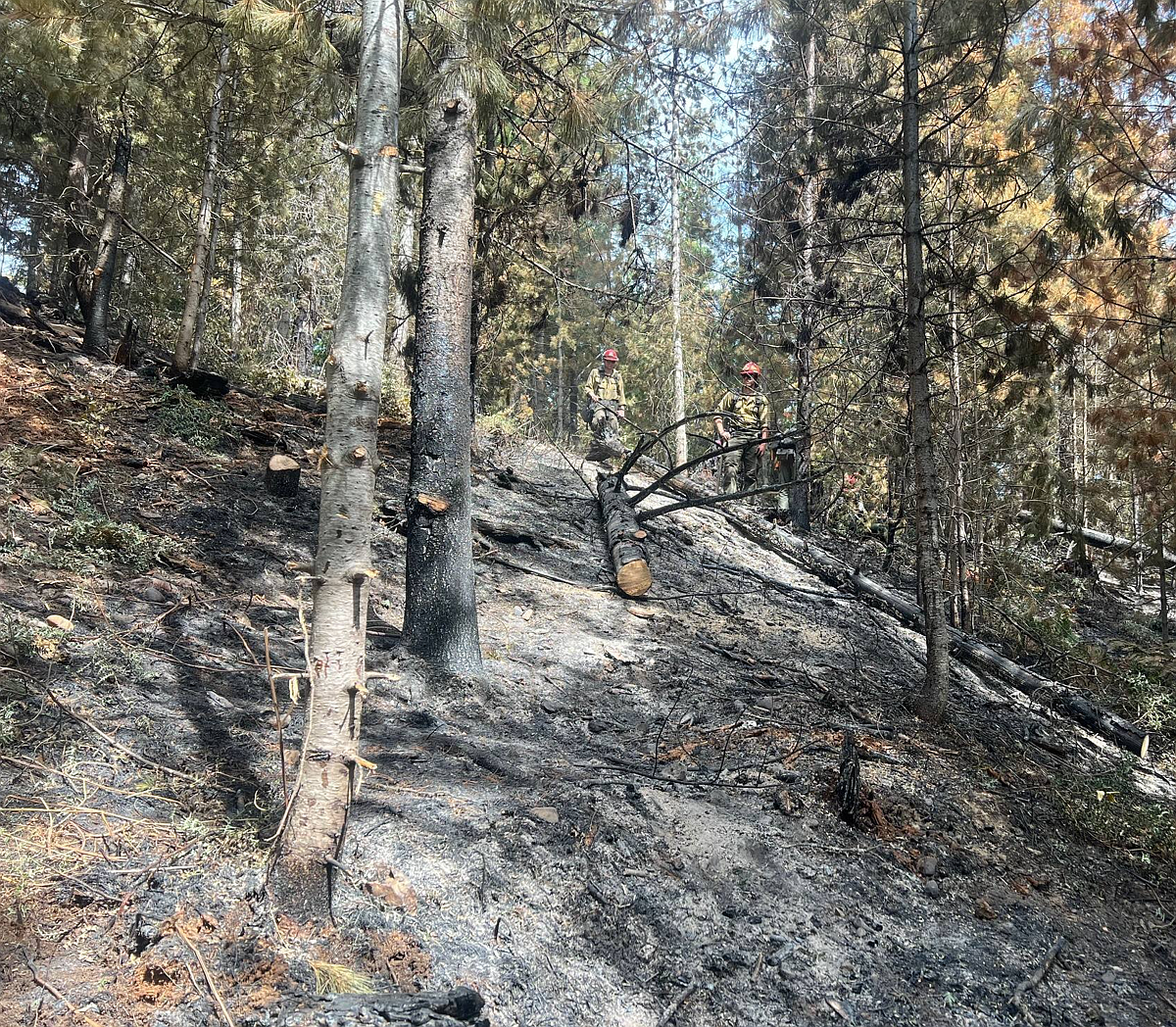 Gold Run Fire 100 Contained Coeur Dalene Press