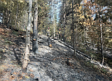 Gold Run Fire 100% contained