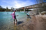 Volunteers gathering critical rivers data