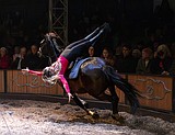 Cirque Ma’Ceo Brings Breathtaking Equestrian Spectacle to North Idaho