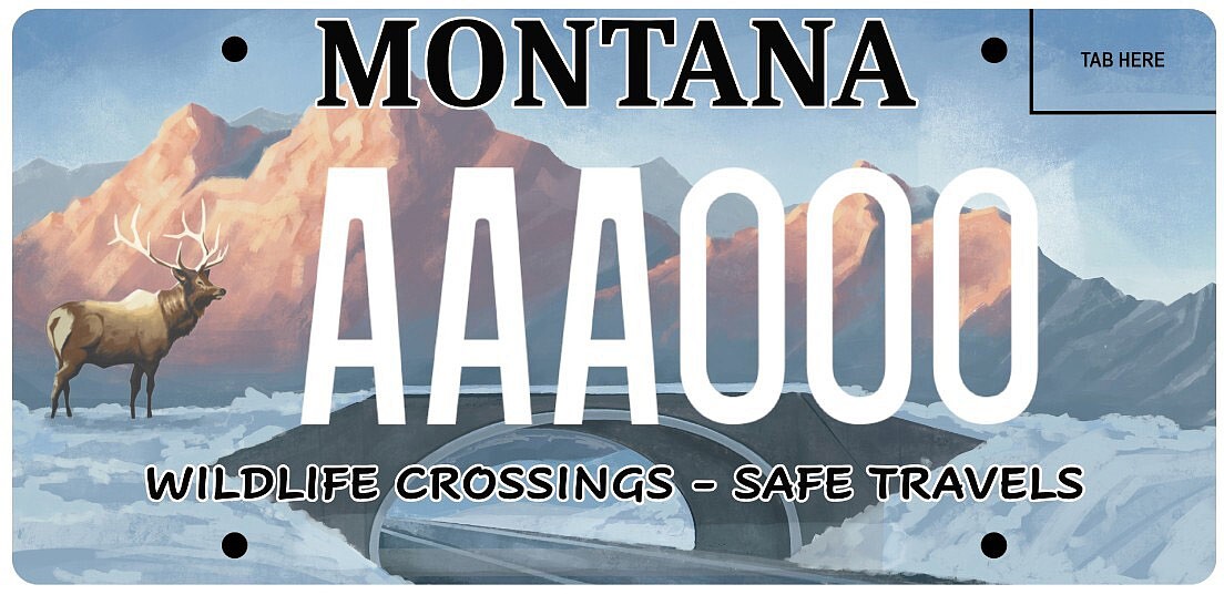 New license plate supports safe crossings for wildlife