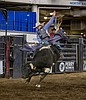 Polson bull rider places again at College National Finals Rodeo