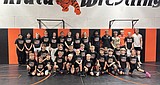 Tigers first wrestling camp deemed a success