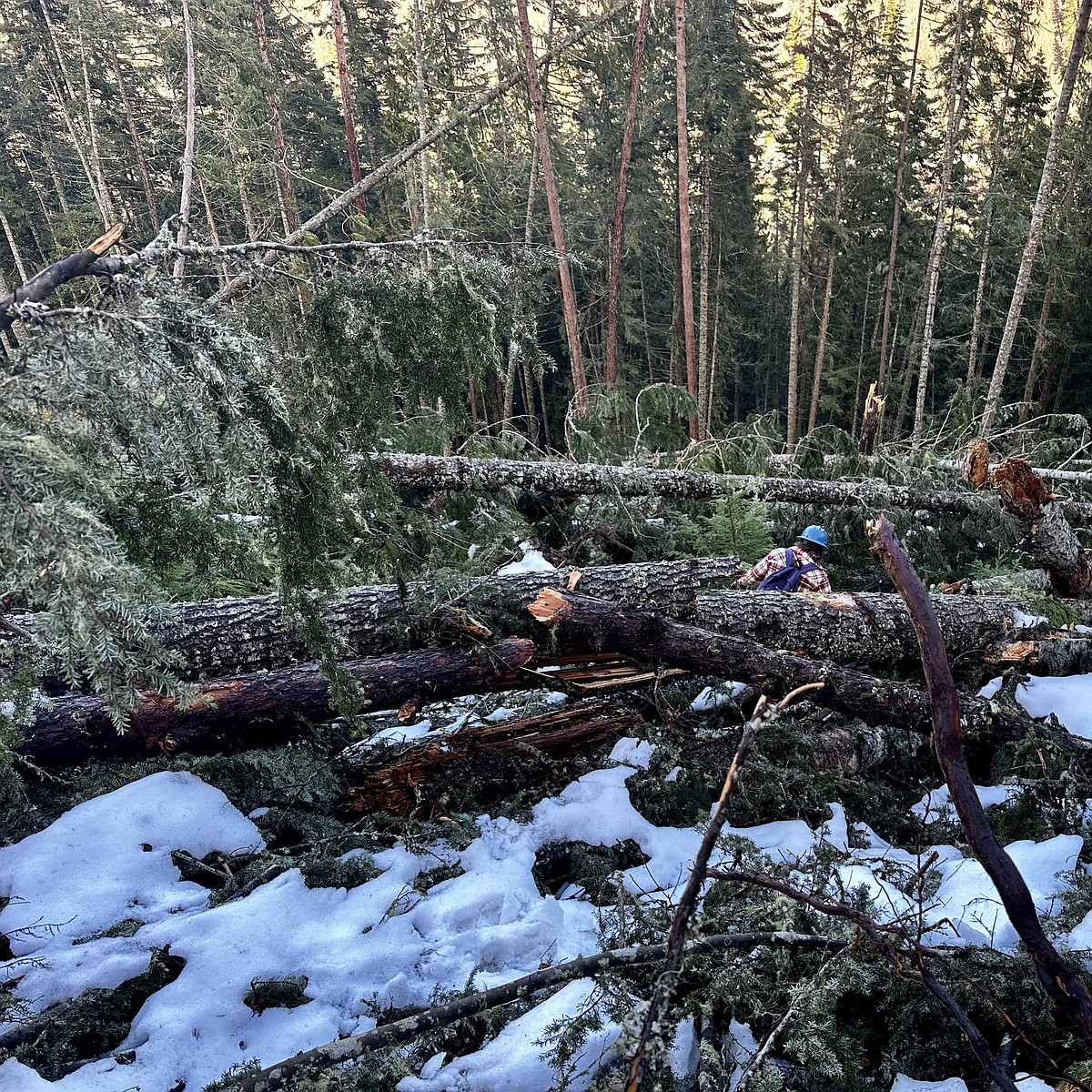 Idaho counties to receive $49.6 million in payment in lieu of taxes for federal public lands