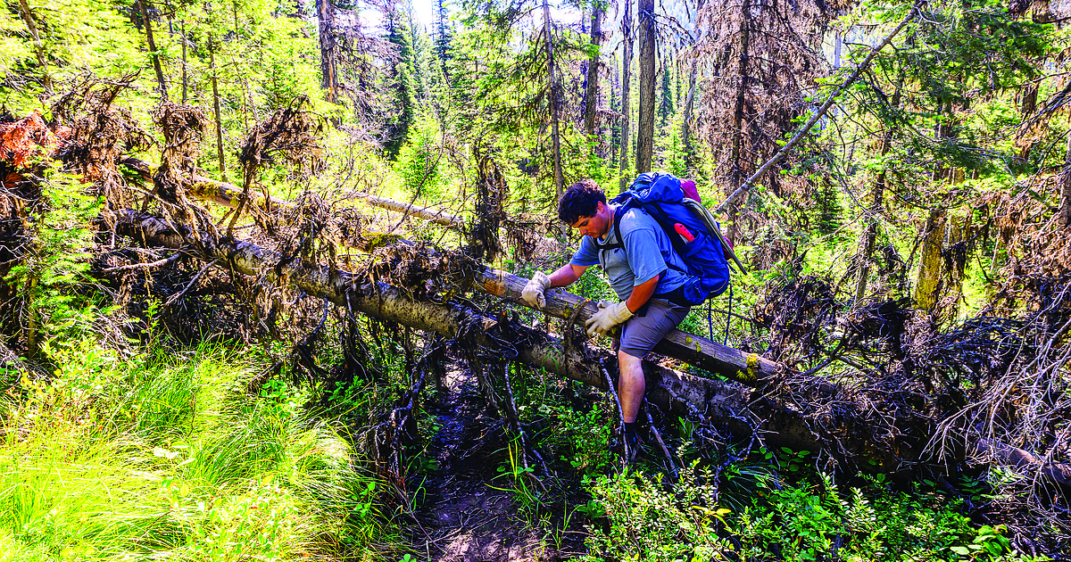 With blowdown pervasive in Bob Marshall Wilderness, foundation crews pivot to help