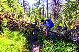 With blowdown pervasive in Bob Marshall Wilderness, Foundation crews pivot to help