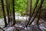 After flooding, Glacier getting back to normal, Highline, Ptarmigan Tunnel trails open