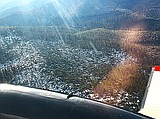 Forests prep salvage sales ahead of wildfire season