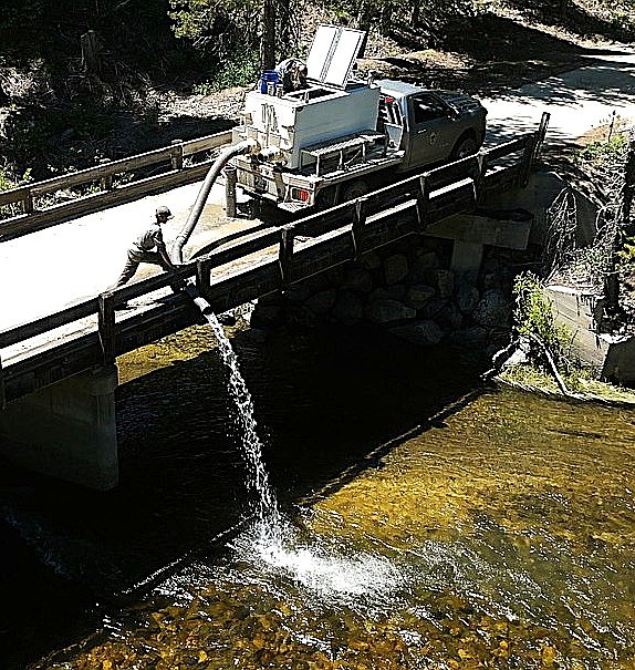 Idaho releases a million kokanee