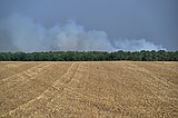 Fire in Fontainebleau forest near Paris triggers evacuations; 10 still missing in Spanish wildfire