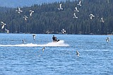 Lake Coeur d’Alene faces lasting mining impacts