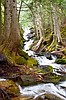 Falls Creek Project secures public access